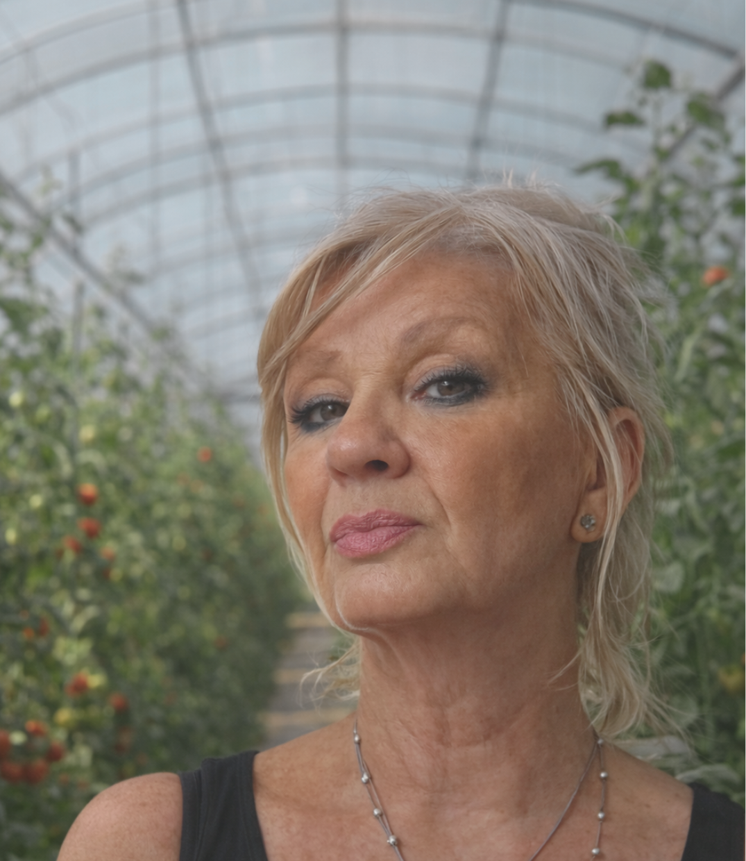 Hegedüs Györgyi cégvezető